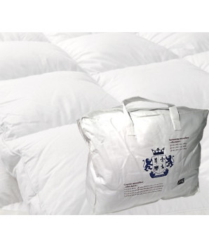 Surmatelas microfibre 