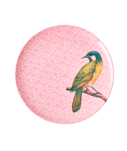 ASSIETTE DESSERT MELAMINE VINTAGE BIRD NOUGAT