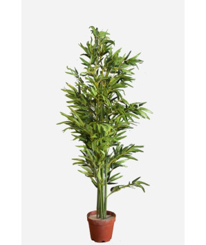 PLANTE EN POT BAMBOU 