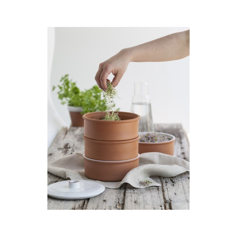 GERMOIR À 3 ÉTAGES EN TERRE CUITE Ø 17.5CM H 20CM