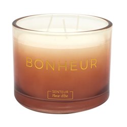 BOUGIE PARFUMEE EMOTION D10CM M12
