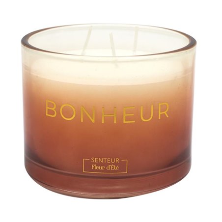 BOUGIE PARFUMEE EMOTION D10CM M12