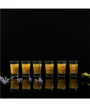 VERRE A SHOT X6