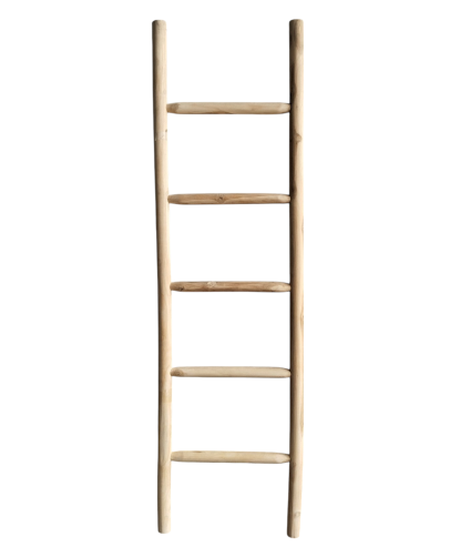 ECHELLE TECK 175CM